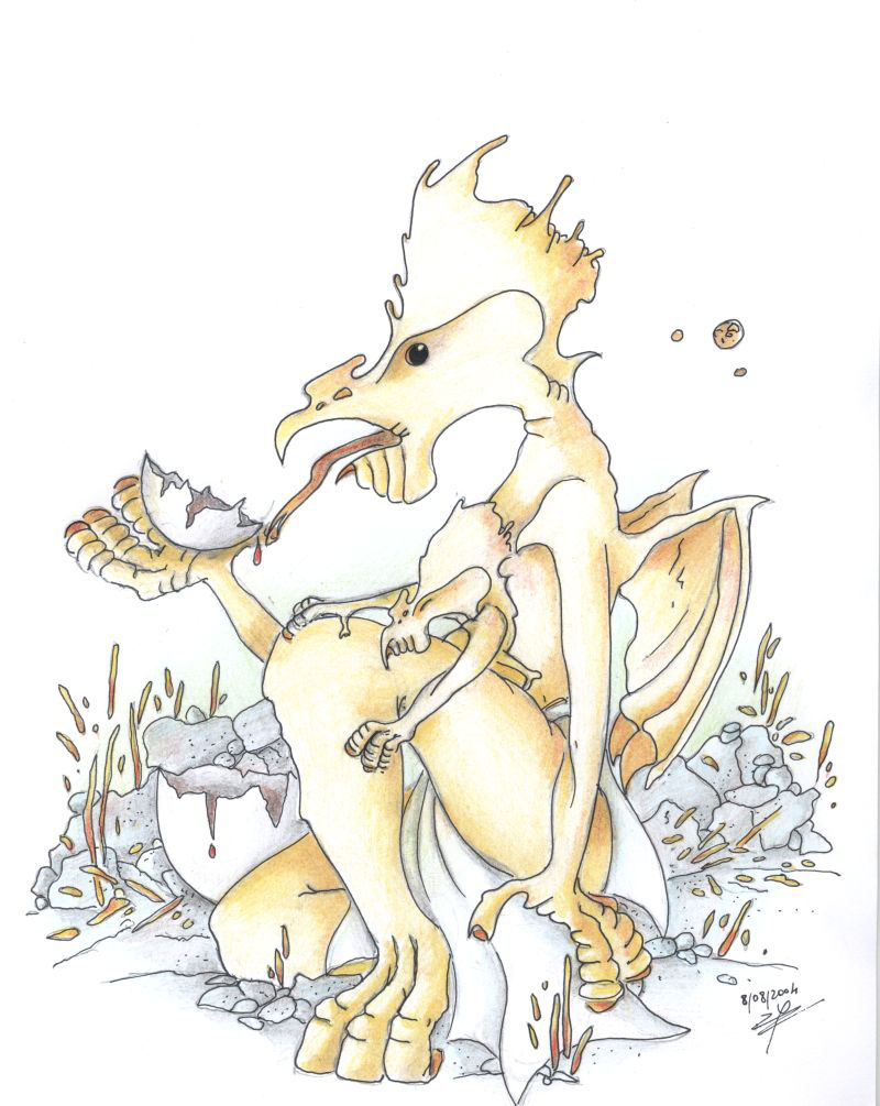 04-8