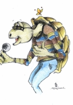 Turtle3