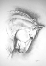 cheval2