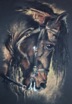 cheval4
