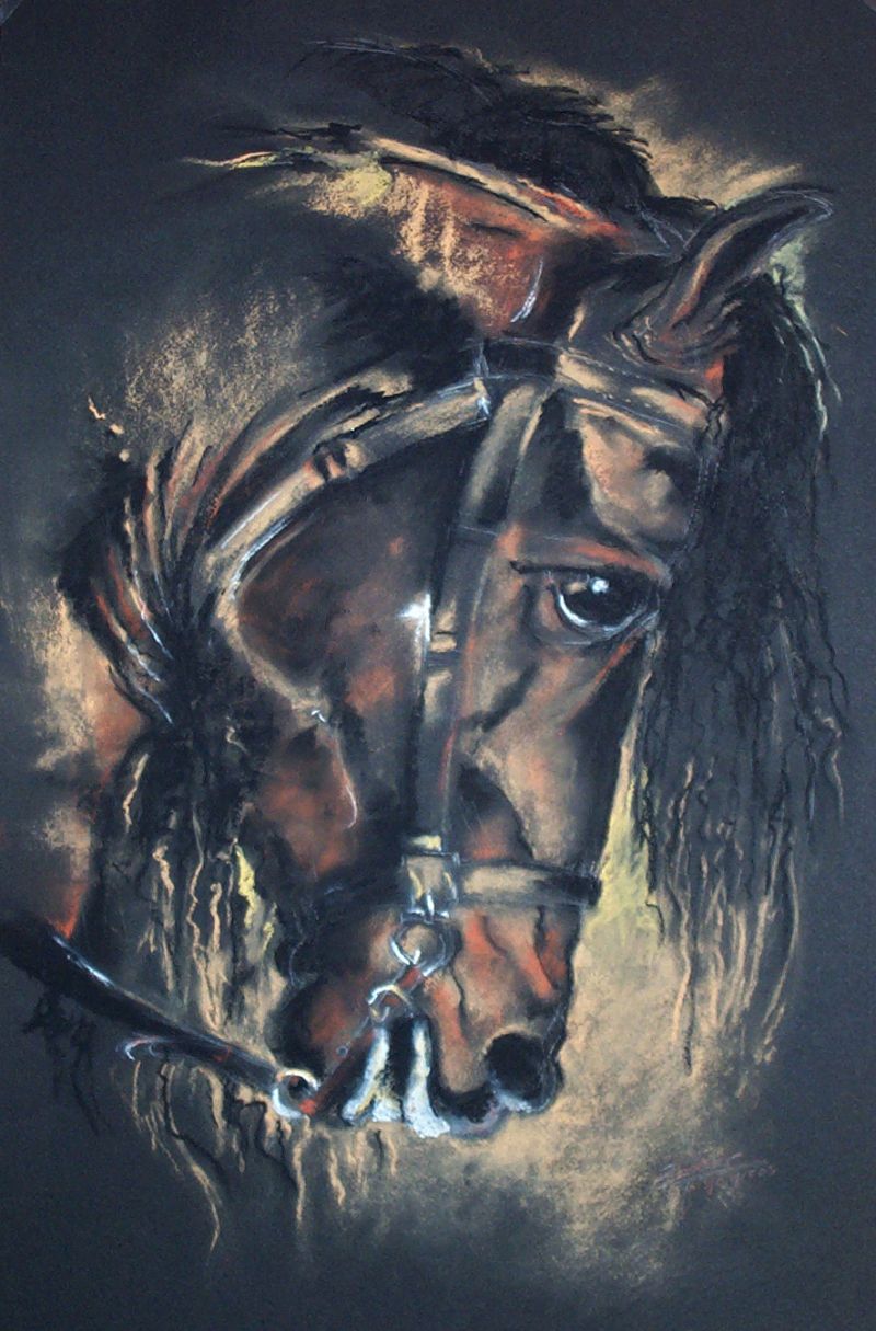 cheval4