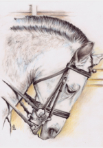 cheval600dpi