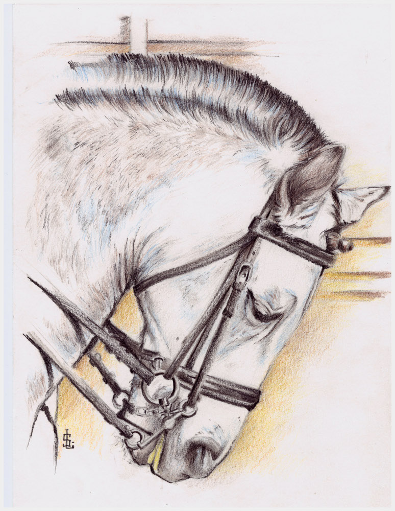 cheval600dpi