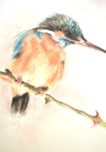 martin-pecheur