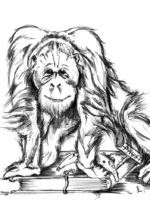 orang-outan2